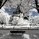 Premium Photographic Print