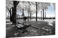 Premium Photographic Print