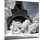 Premium Photographic Print