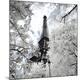 Premium Photographic Print