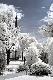 Premium Photographic Print