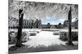 Premium Photographic Print