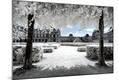 Photographic Print