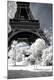 Premium Photographic Print