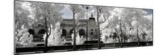 Premium Photographic Print