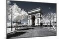 Photographic Print