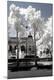 Photographic Print
