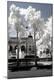 Photographic Print