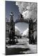 Photographic Print