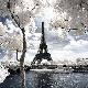 Premium Photographic Print