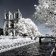 Premium Photographic Print