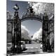 Premium Photographic Print