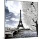 Photographic Print