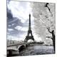 Photographic Print