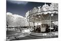 Premium Photographic Print