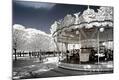 Photographic Print