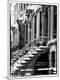 Premium Photographic Print