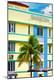 Premium Photographic Print