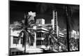 Photographic Print