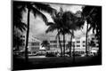 Premium Photographic Print