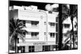 Photographic Print