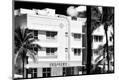 Photographic Print