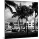Photographic Print