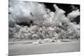 Premium Photographic Print