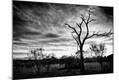 Photographic Print