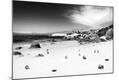 Photographic Print