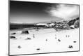 Photographic Print