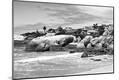 Photographic Print