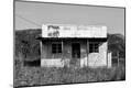Photographic Print