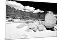 Photographic Print