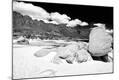 Photographic Print