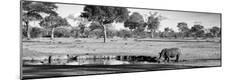 Photographic Print
