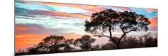 Premium Photographic Print