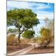 Photographic Print