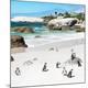 Premium Photographic Print