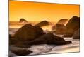 Photographic Print