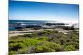 Premium Photographic Print
