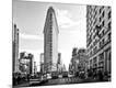 Photographic Print