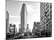 Premium Photographic Print