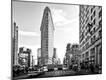 Photographic Print