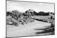 Photographic Print