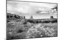 Photographic Print