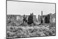 Photographic Print