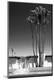 Premium Photographic Print