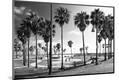 Premium Photographic Print