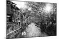 Photographic Print